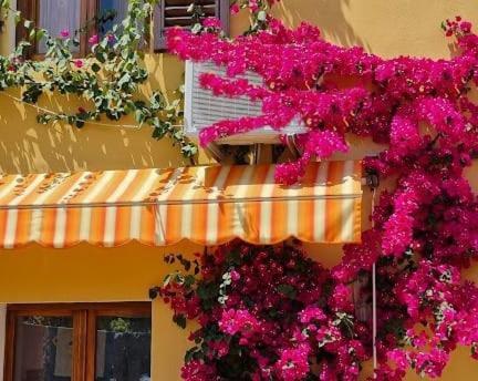 Appartamento In The Heart Of Tuscany Monsummano Terme Exterior photo